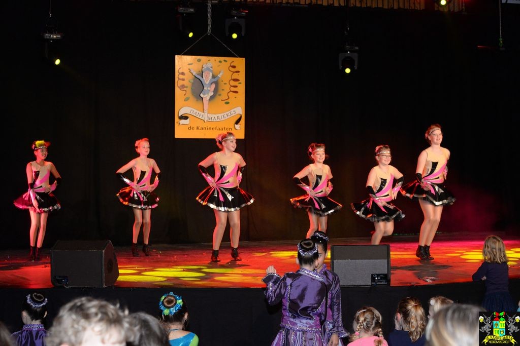 ../Images/Dansmarieke festival 2018 148.jpg
